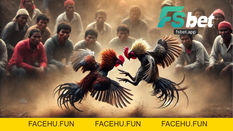 Đá Gà GA28 Fsbet - Hướng Dẫn Chơi Tại Sảnh Live Đá Gà - Facehu
