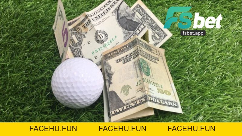 Thể Thao Fsbet - Khám Phá Sân Chơi Cá Cược Thể Thao Uy Tín - Facehu