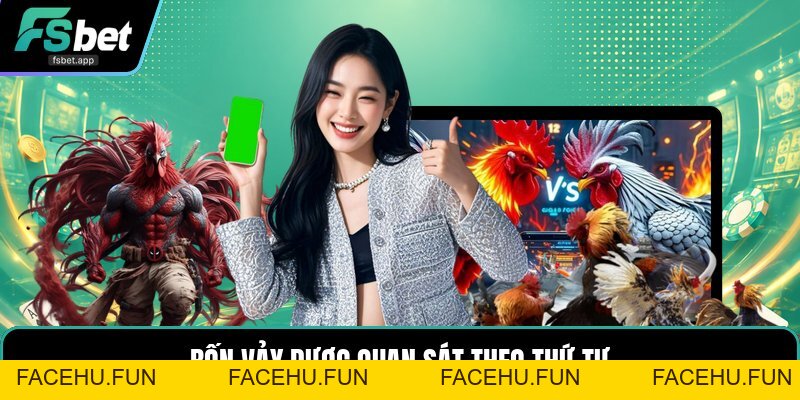 Vảy Gà Tứ Quý - Dấu Hiệu Nhận Biết Và Cách Xem Chuẩn - Facehu