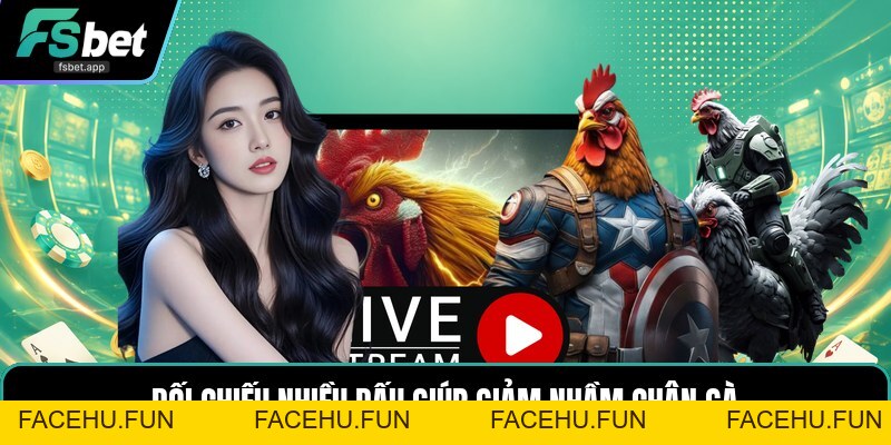 Vảy Gà Khai Vương - Cách Nhận Biết Dáng Vảy Gà Chọi - Facehu