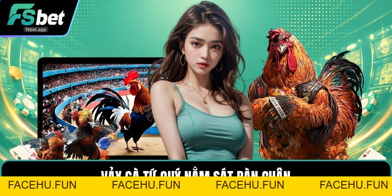Vảy Gà Tứ Quý - Dấu Hiệu Nhận Biết Và Cách Xem Chuẩn - Facehu