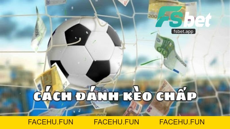 Thể Thao Fsbet - Khám Phá Sân Chơi Cá Cược Thể Thao Uy Tín - Facehu