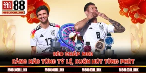 Thể Thao M88 - Kèo Cược Cập Nhật 24/7, Tỷ Lệ Thưởng Lớn - Facehu